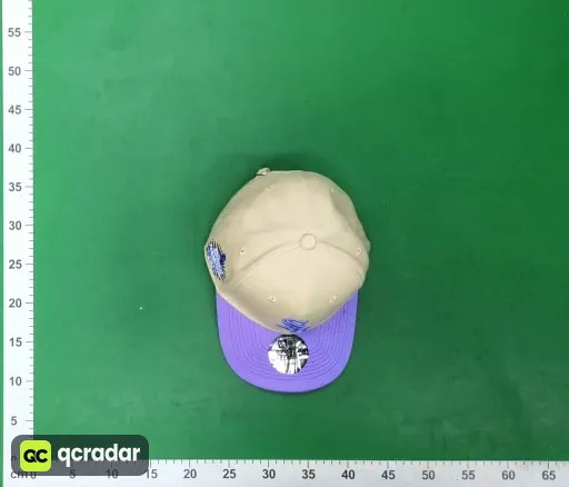 __qc_other__ d:2026-08-21