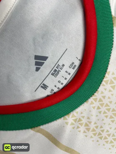 2026阿尔及利亚主场