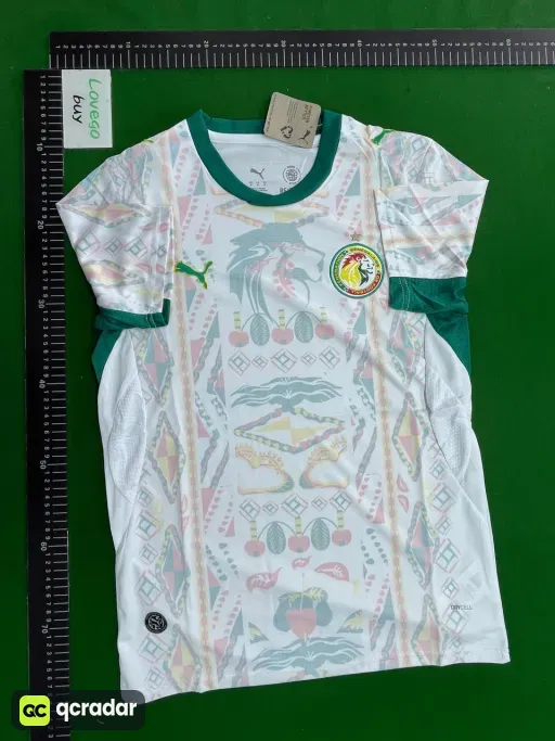 Fan 2627 senegal away