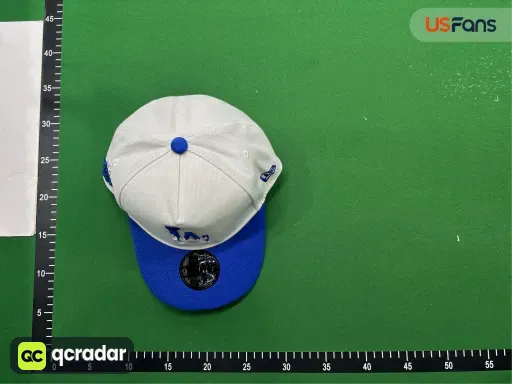 __qc_other__ d:2026-09-06