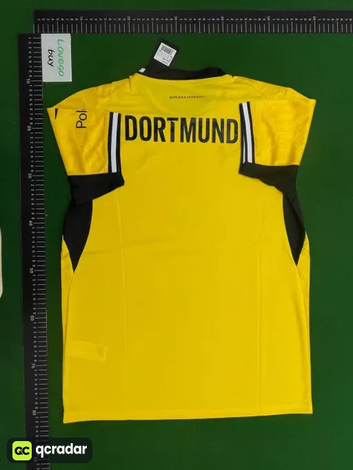 2627 dortmund home court