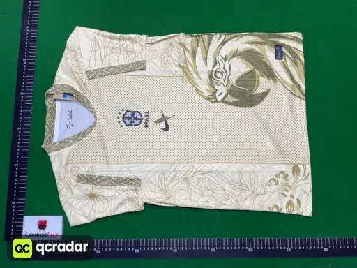 巴西53