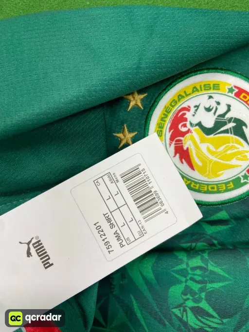 2026 senegal home court