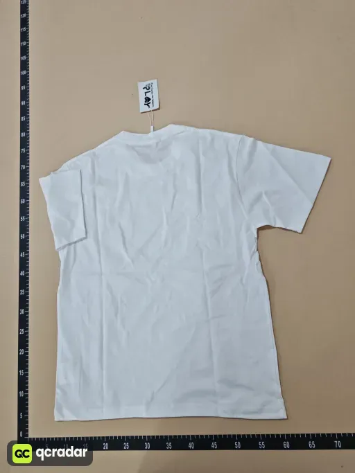 __qc_other__ d:2026-05-27