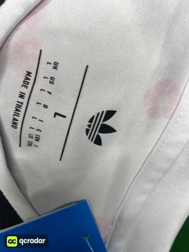 26智利客场球迷