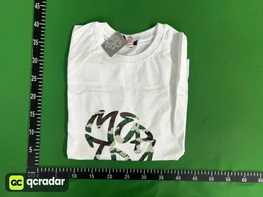 204白