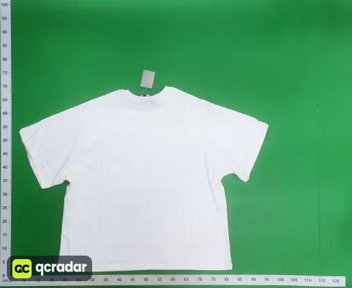 __qc_other__ d:2026-10-01