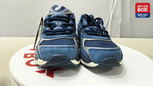 1203a383-401 delivery shoelaces
