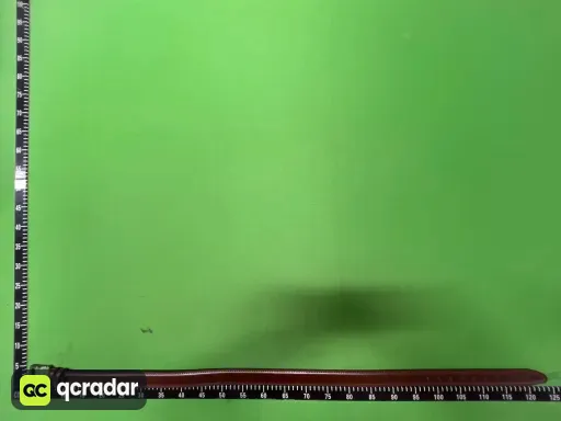 棕色