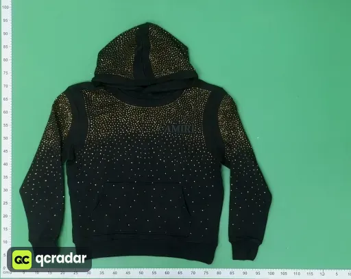 __qc_other__ d:2026-06-10