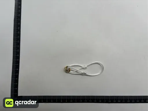 __qc_other__ d:2026-10-05
