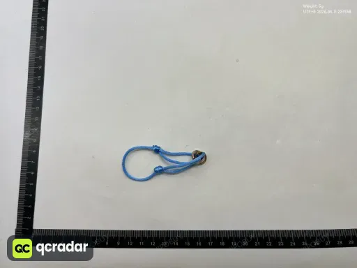 __qc_other__ o:8e383af50d6a