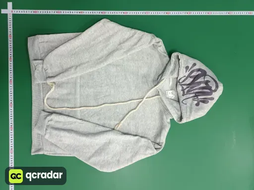 __qc_other__ d:2025-02-27