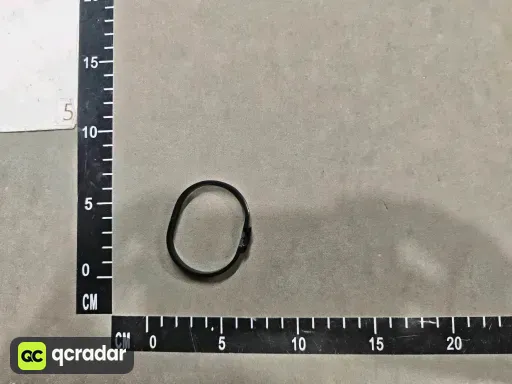 __qc_other__ d:2026-06-01