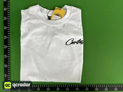 CT301白