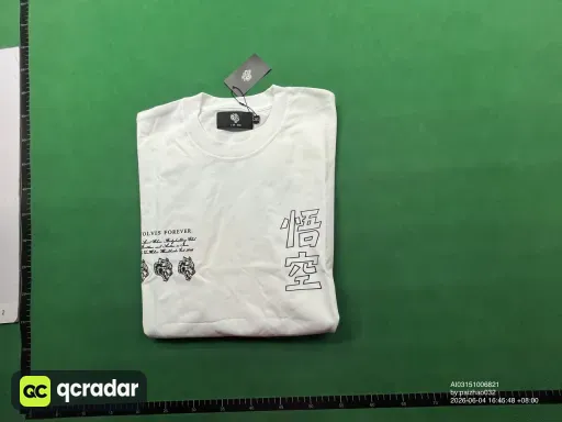 DSDT293