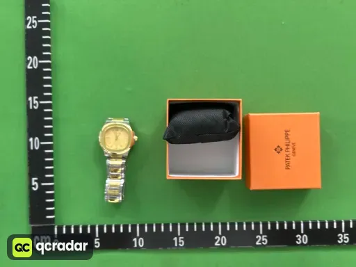 百达手雷磨砂壳间金金面
