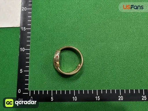 __qc_other__ d:2026-09-10