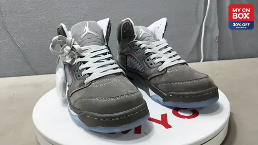 Aj5-gray wolf