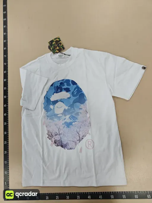 __qc_other__ d:2026-10-21