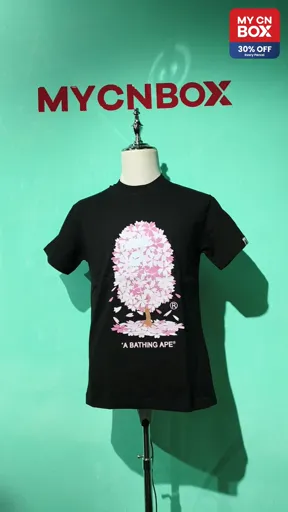 S011 black