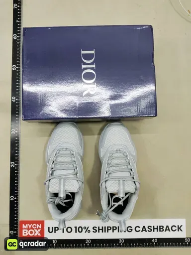 Dior light gray