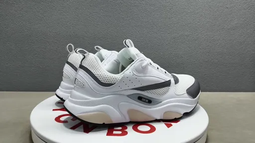 Dior silver