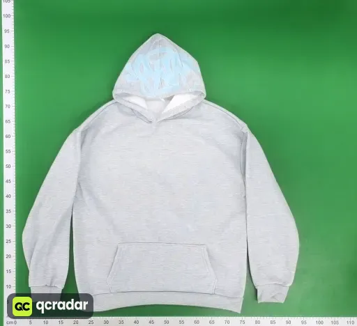 __qc_other__ d:2025-01-04