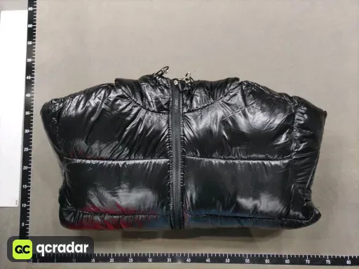 __qc_other__ d:2026-01-26