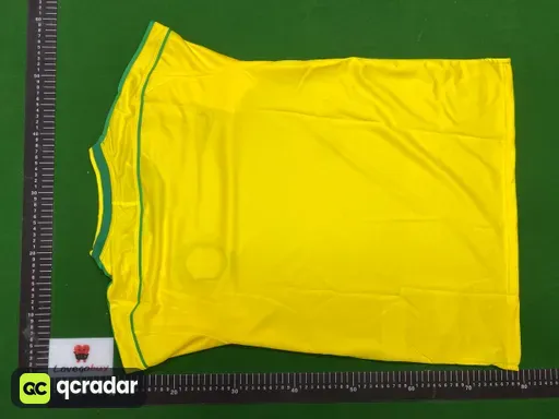 2002巴西主场