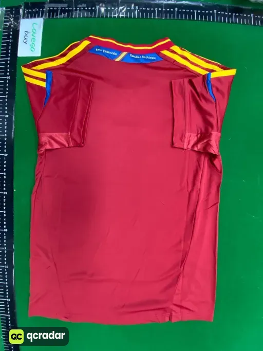2010 spain home game