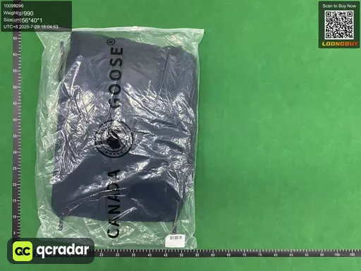 __qc_other__ d:2025-07-29
