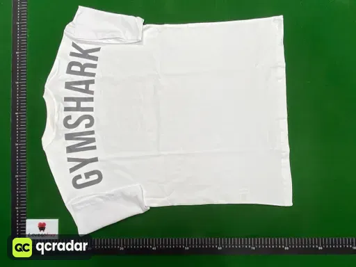 DYGSPT169