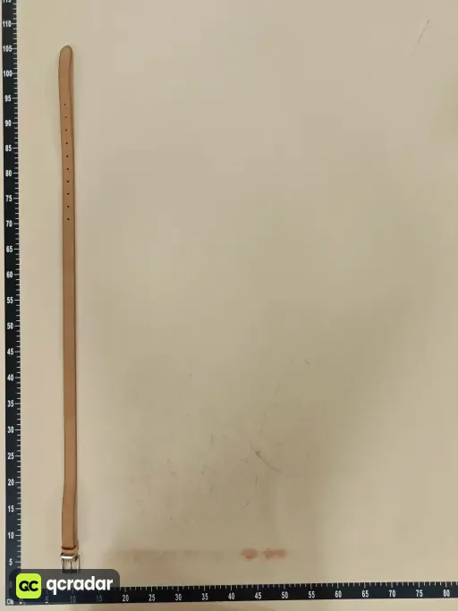 __qc_other__ d:2026-08-19
