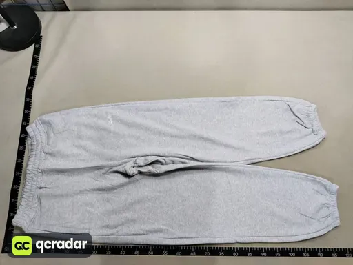 5787 sweatpants gray