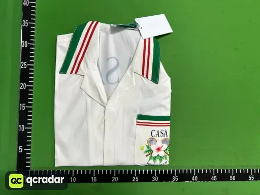 Q100图