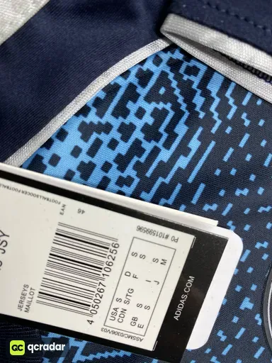 25-26利雅得胜利客场