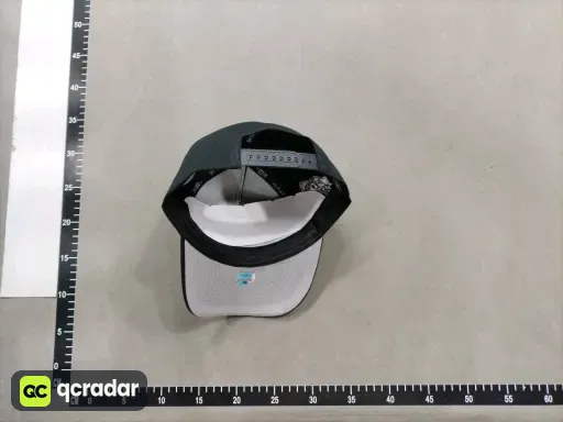 __qc_other__ d:2026-04-29