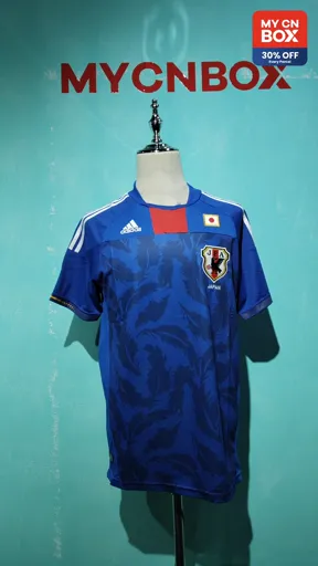 2010 japan home game