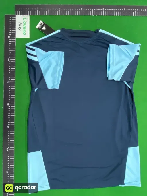 2526 argentina royal blue