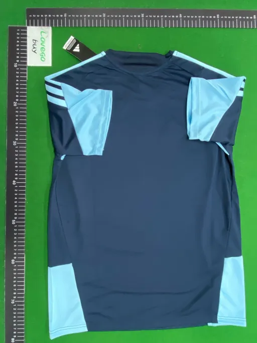 2526 argentina royal blue