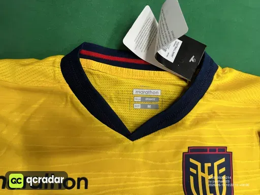 2026世界杯 #厄瓜多尔主场
