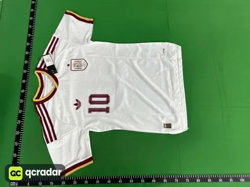 2026世界杯 #西班牙客场