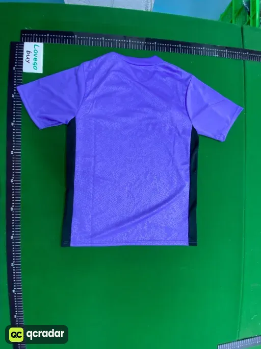2526 barcelona dark purple