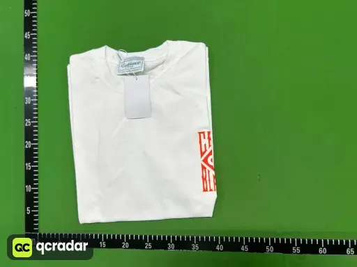 c137白