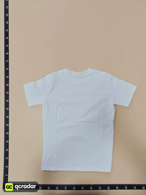 __qc_other__ d:2026-05-10