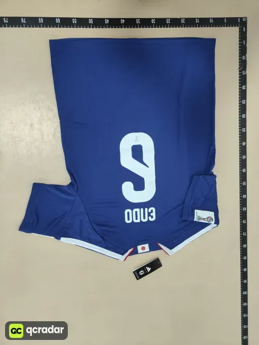 __qc_other__ d:2026-09-29