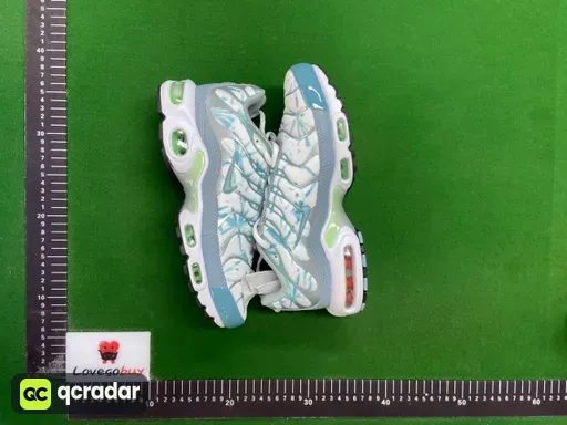 TN1-13