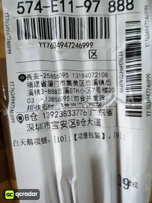白天鹅项链