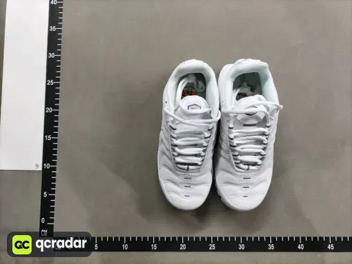 __qc_other__ d:2026-08-01